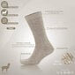 Vilnonės kojinės vyrams Need 4You, pilkos/juodos, 2 poros kaina ir informacija | Vyriškos kojinės | pigu.lt