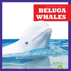 Beluga Whales цена и информация | Книги для подростков  | pigu.lt