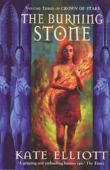 Burning Stone kaina ir informacija | Fantastinės, mistinės knygos | pigu.lt