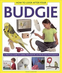 How to Look After Your Budgie цена и информация | Книги для подростков  | pigu.lt
