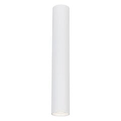 светильник, 1xgu10, 40 см, белый цена и информация | Потолочные светильники | pigu.lt