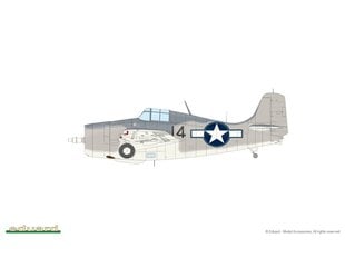 Surenkamas modelis Eduard Grumman FM-1 Wildcat Profipack, 1/48, 82204 цена и информация | Конструкторы и кубики | pigu.lt