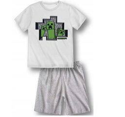 Комплект/пижама для мальчиков Minecraft, серая цена и информация | Пижамы, халаты для мальчиков | pigu.lt