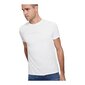Guess marškinėliai vyrams 84461, balti kaina ir informacija | Vyriški marškinėliai | pigu.lt