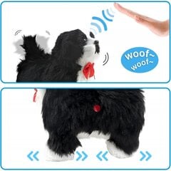Interaktyvus šuniukas Borderkolis kaina ir informacija | Minkšti (pliušiniai) žaislai | pigu.lt