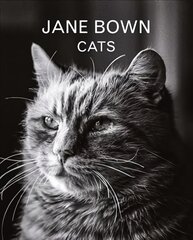 Jane Bown: Cats Main цена и информация | Книги о питании и здоровом образе жизни | pigu.lt