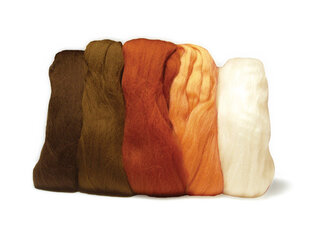 Merinosų vilna 18mic 5x10g 5 spalvų įvairi brown colours цена и информация | Принадлежности для валяния | pigu.lt