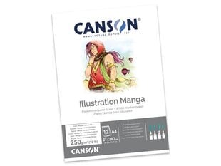 Piešimo bloknotas Illustration Manga A4, 250g, 12 lapų kaina ir informacija | Sąsiuviniai ir popieriaus prekės | pigu.lt