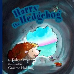 Harry the Hedgehog цена и информация | Книги для малышей | pigu.lt