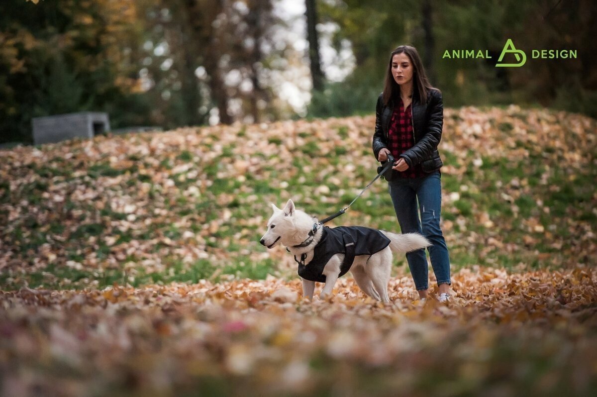 Žieminė striukė šunims Animal Design Flash, įvairių dydžių, žalia kaina ir informacija | Drabužiai šunims | pigu.lt