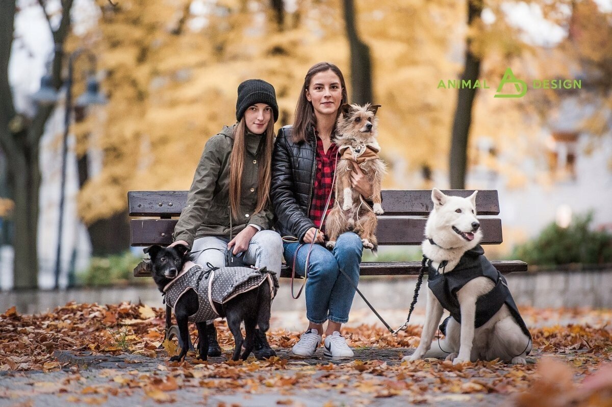 Žieminė striukė šunims Animal Design Teddy Bears, įvairių dydžių, juoda kaina ir informacija | Drabužiai šunims | pigu.lt