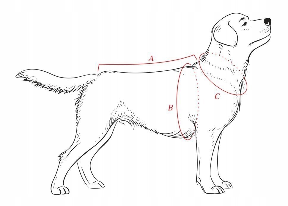 Žieminė striukė šunims Animal Design DP, įvairių dydžių, ruda kaina ir informacija | Drabužiai šunims | pigu.lt