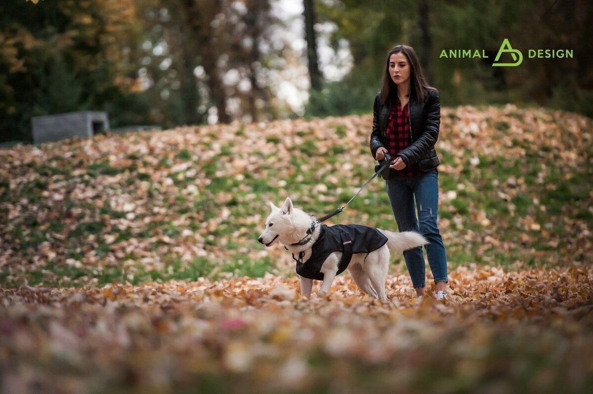 Žieminė striukė šunims Animal Design, įvairių dydžių, pilka kaina ir informacija | Drabužiai šunims | pigu.lt