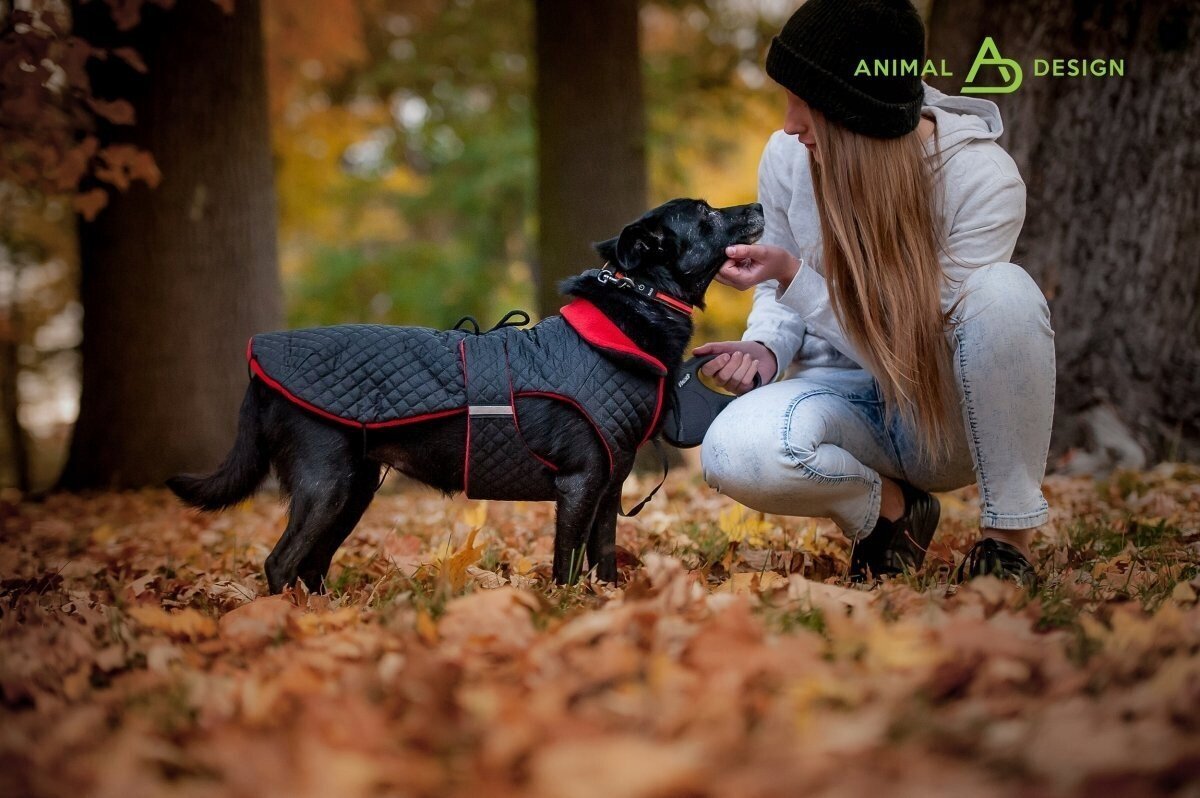 Žieminė striukė šunims Animal Design DP, įvairių dydžių, mėlyna/balta kaina ir informacija | Drabužiai šunims | pigu.lt