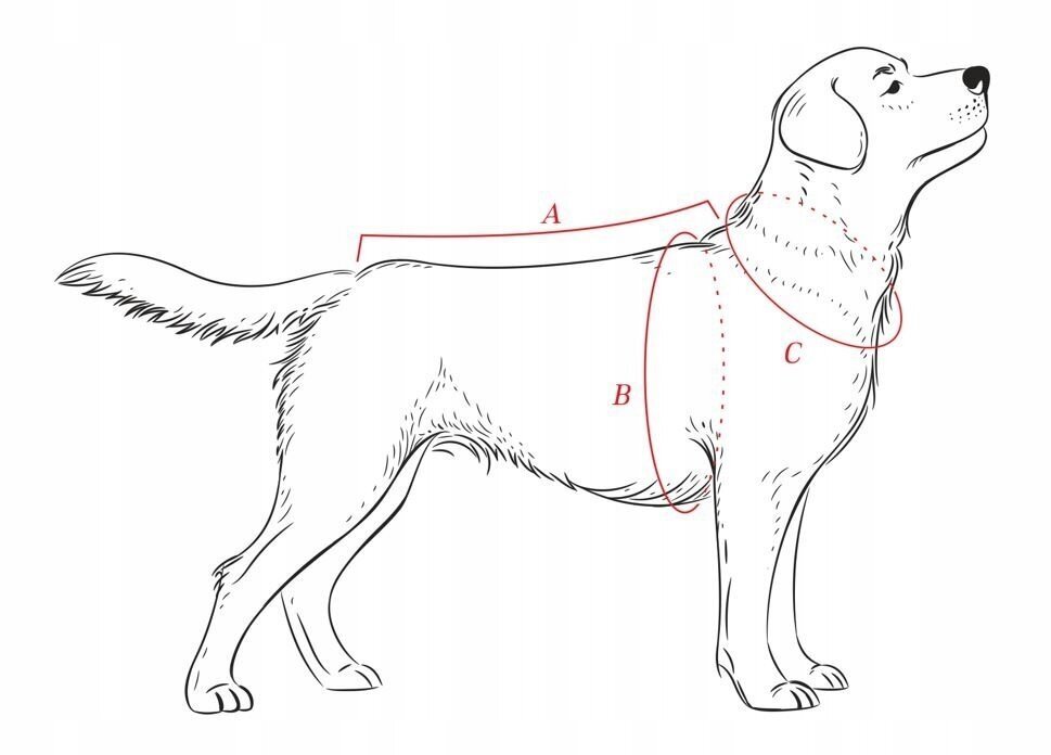 Žieminė striukė šunims Animal Design DP, įvairių dydžių, mėlyna/balta kaina ir informacija | Drabužiai šunims | pigu.lt