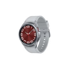 Samsung SM-R950NZSAPHE 43 mm silver S7608052 kaina ir informacija | Išmanieji laikrodžiai (smartwatch) | pigu.lt