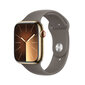 Apple Watch Series 9 45mm Gold Stainless Steel/Clay Sport Band kaina ir informacija | Išmanieji laikrodžiai (smartwatch) | pigu.lt