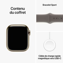 Apple Watch Series 9 41mm Gold Stainless Steel/Clay Sport Band цена и информация | Смарт-часы (smartwatch) | pigu.lt