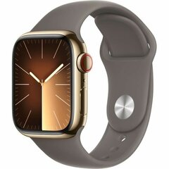 Apple Watch Series 9 41mm Gold Stainless Steel/Clay Sport Band kaina ir informacija | Išmanieji laikrodžiai (smartwatch) | pigu.lt