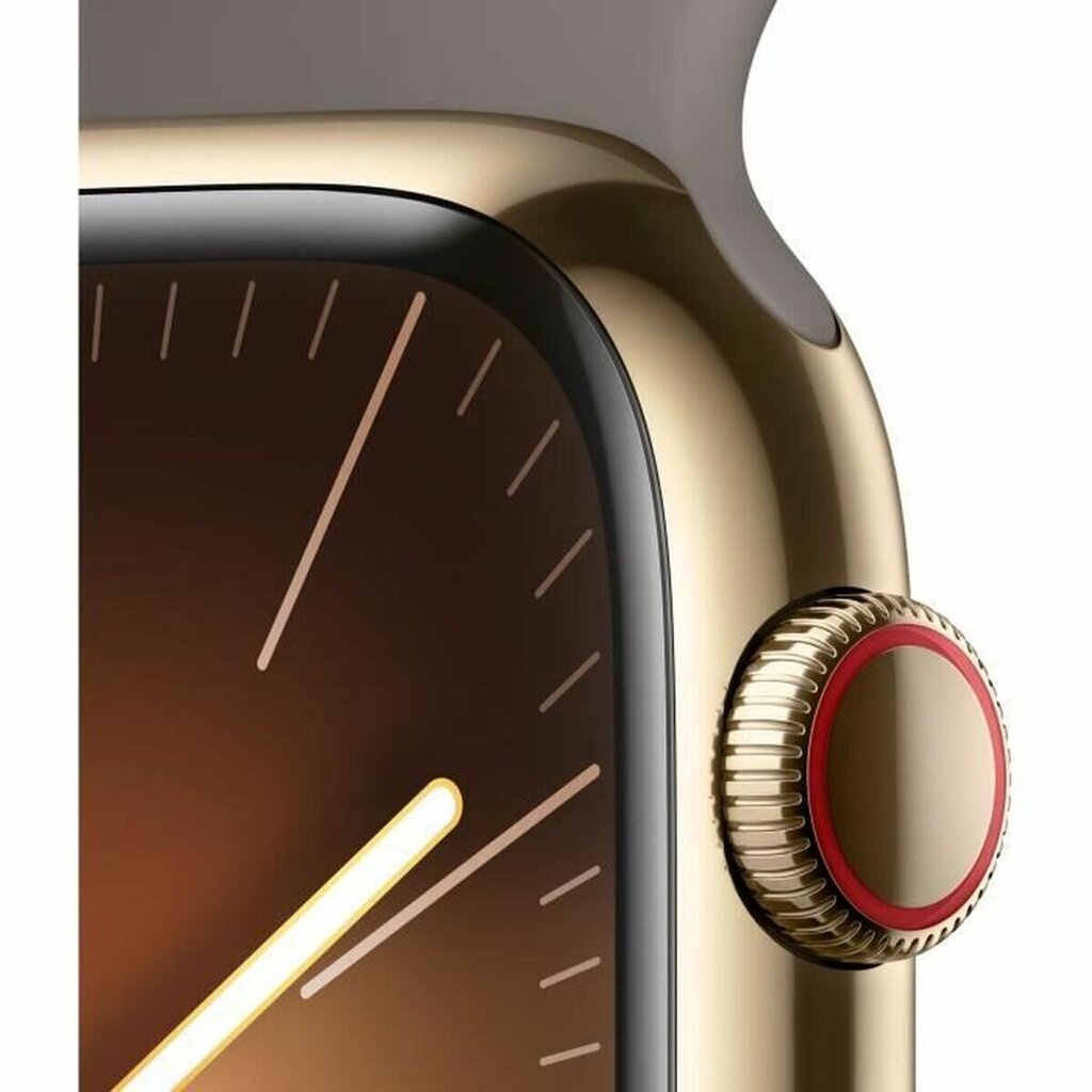 Apple Watch Series 9 45mm Gold Stainless Steel/Clay Sport Band цена и информация | Išmanieji laikrodžiai (smartwatch) | pigu.lt