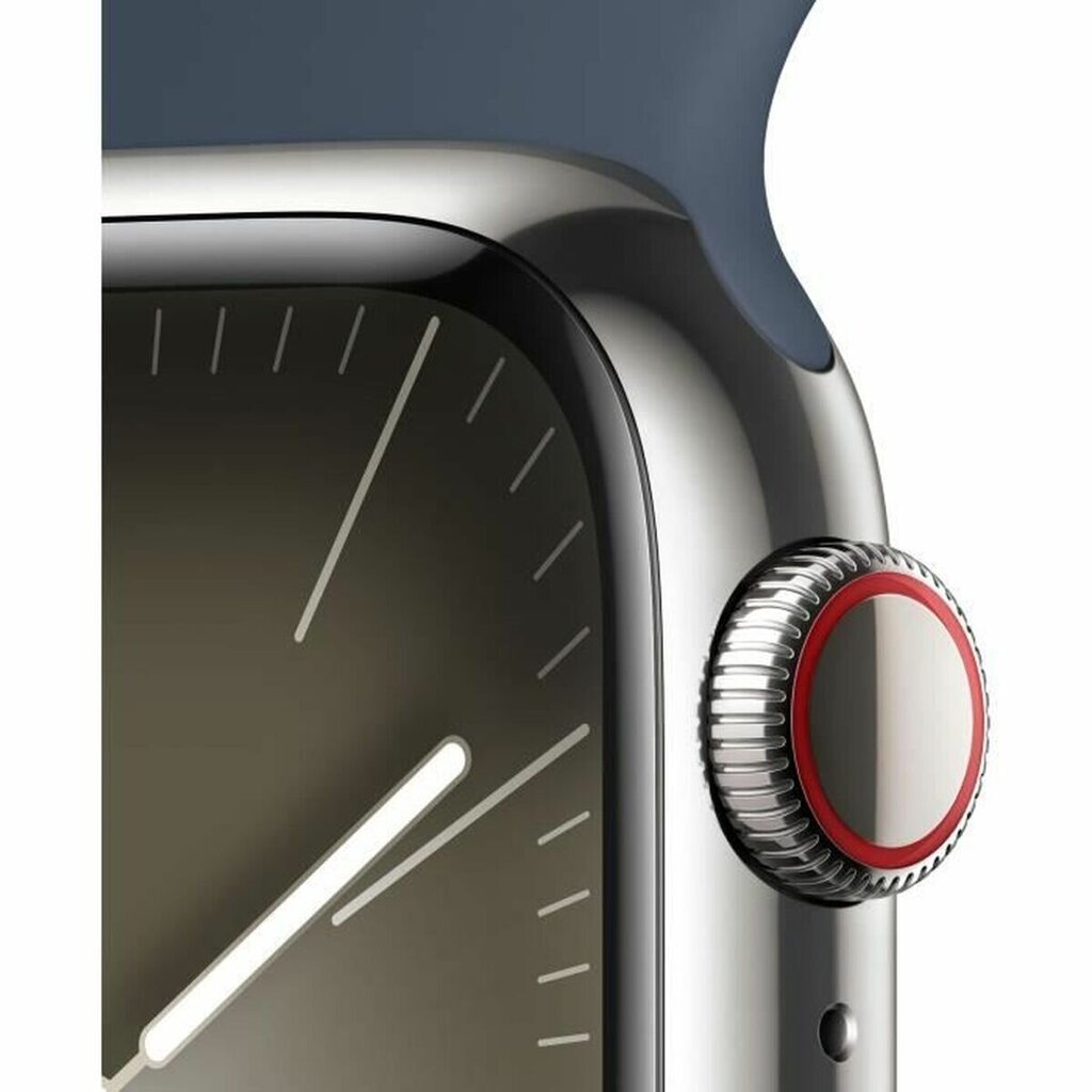 Apple Series 9 41 mm blue silver S7193091 kaina ir informacija | Išmanieji laikrodžiai (smartwatch) | pigu.lt