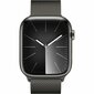 Apple Series 9 45 mm Grafito S7193102 kaina ir informacija | Išmanieji laikrodžiai (smartwatch) | pigu.lt