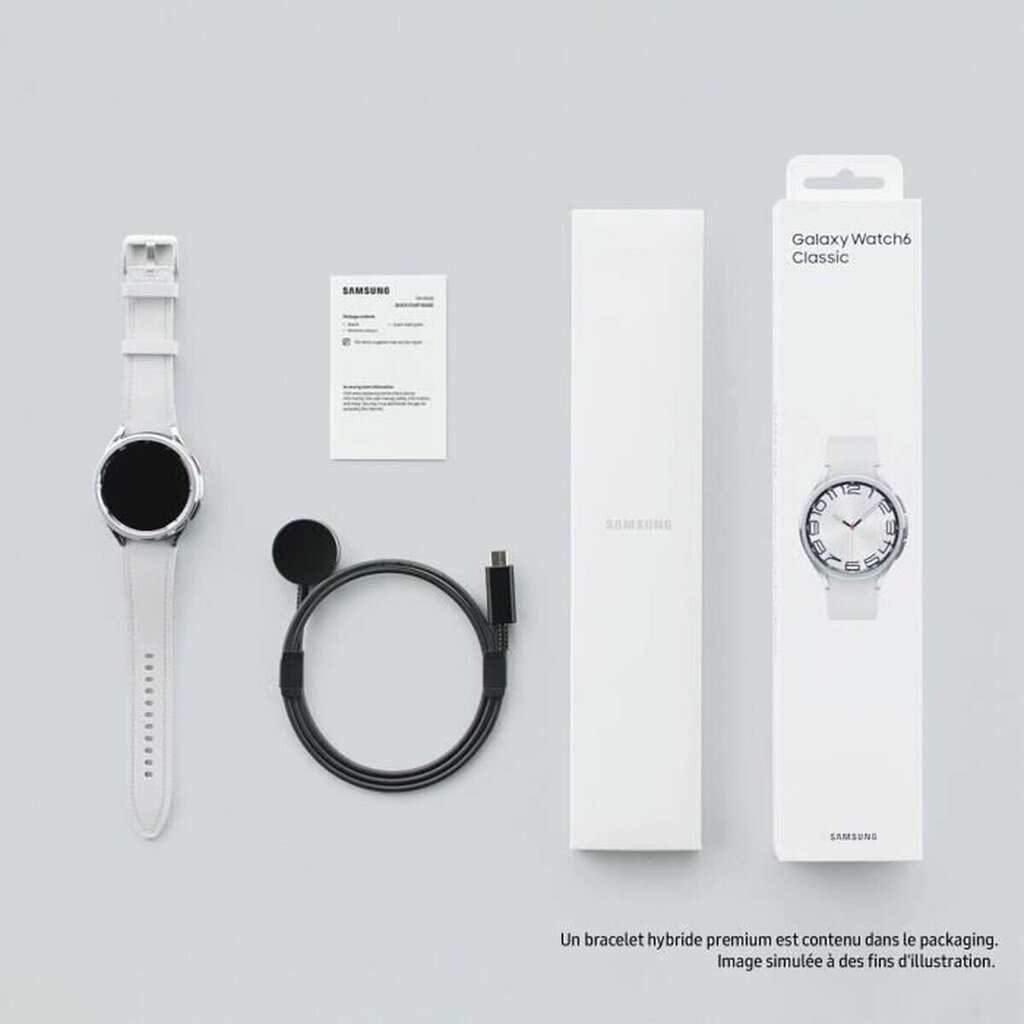 Galaxy Watch6 Classic Silver kaina ir informacija | Išmanieji laikrodžiai (smartwatch) | pigu.lt