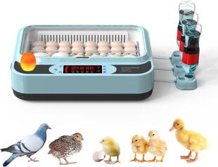Automatinis temperatūros ir drėgmės kontrolės kiaušinių inkubatorius Ouyolad, 24-64 kiaušiniai kaina ir informacija | Prekės ūkiniams gyvūnams | pigu.lt