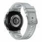 Samsung Galaxy Watch6 Classic SM-R950 Silver kaina ir informacija | Išmanieji laikrodžiai (smartwatch) | pigu.lt