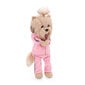 Minkštas pliušinis šuniukas Lucky Yoyo Pink Fitness, 38 cm цена и информация | Minkšti (pliušiniai) žaislai | pigu.lt