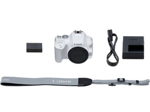 Canon EOS 250D Body (White) kaina ir informacija | Skaitmeniniai fotoaparatai | pigu.lt