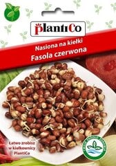 Raudonosios pupelės PlantiCo kaina ir informacija | Daržovių, uogų sėklos | pigu.lt