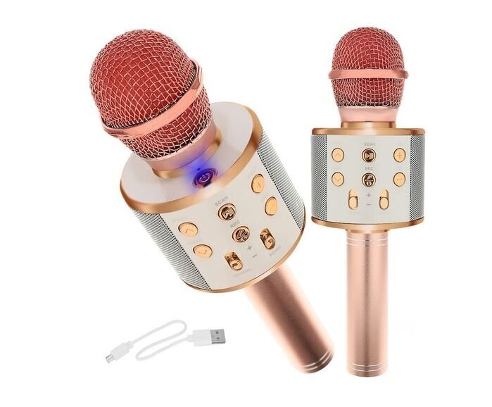 Belaidis karaoke mikrofonas  Izoxis,šviesiai rožinis kaina ir informacija | Mikrofonai | pigu.lt