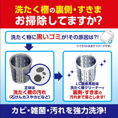 Daiichi Очиститель для стиральной машины, 250 г цена и информация | Средства для стирки | pigu.lt
