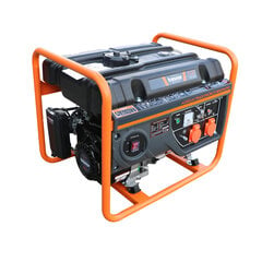 Generatorius benzininis AVR, 15 l, 3,0 kW Tresnar kaina ir informacija | Elektros generatoriai | pigu.lt