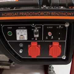 Генератор бензиновый АВР, 15 л, 3,0 кВт Tresnar цена и информация | Электрогенераторы | pigu.lt