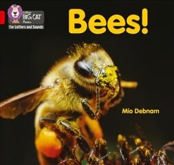 Bees!: Band 02b/Red B kaina ir informacija | Knygos paaugliams ir jaunimui | pigu.lt
