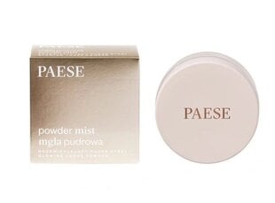 Biri veido pudra Paese Powder Glow, 01 Light Beige, 5 g цена и информация | Пудры, базы под макияж | pigu.lt