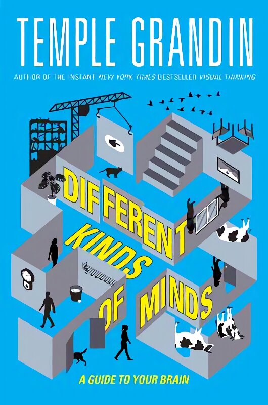 Different Kinds of Minds: A Guide to Your Brain цена и информация | Saviugdos knygos | pigu.lt