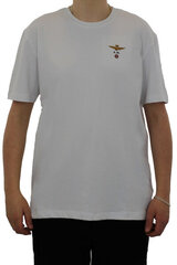 Marškinėliai vyrams Aeronautica Militare 34743-7, pilki kaina ir informacija | Vyriški marškinėliai | pigu.lt