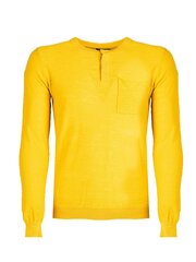 Antony Morato Свитер - MMSW01180 YA200070 - Желтый  regular fit MMSW01180 YA200070 цена и информация | Мужские свитера | pigu.lt
