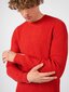 Megztinis vyrams Antony Morato MMSW01218-YA500071, raudonas kaina ir informacija | Megztiniai vyrams | pigu.lt