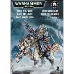 Surenkamas modelis Warhammer 40k Canis Wolfborn kaina ir informacija | Konstruktoriai ir kaladėlės | pigu.lt