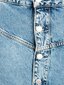 Calvin Klein sijonas moterims J20J211955 911, mėlynas kaina ir informacija | Sijonai | pigu.lt