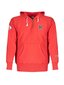 Champion džemperis vyrams 213289, raudonas цена и информация | Džemperiai vyrams | pigu.lt