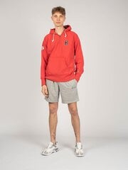 Champion Толстовка с капюшоном - 213289 - Красный  regular fit 213289 цена и информация | Мужские толстовки | pigu.lt