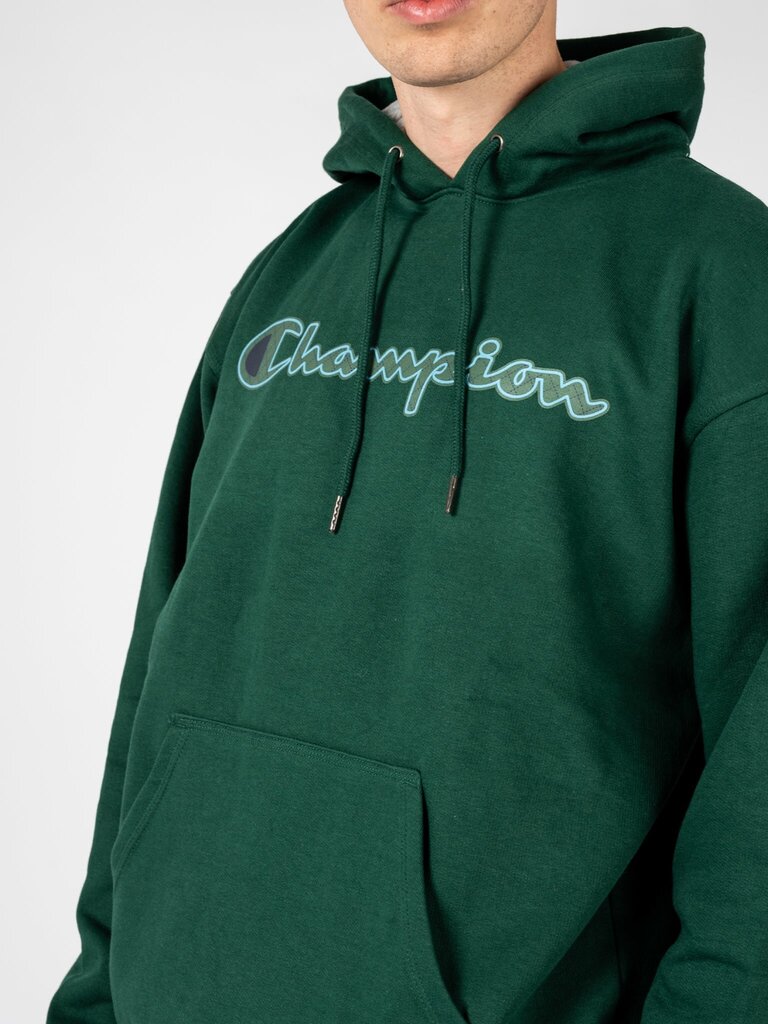 Champion džemperis vyrams HBGF89H586N9A, žalias kaina ir informacija | Džemperiai vyrams | pigu.lt