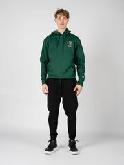 Champion Толстовка с капюшоном Hoodie - HBGF89H586NKA - Зеленый  regular fit HBGF89H586NKA цена и информация | Мужские толстовки | pigu.lt