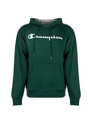 Champion džemperis vyrams HBGF89HY07718, žalias kaina ir informacija | Džemperiai vyrams | pigu.lt
