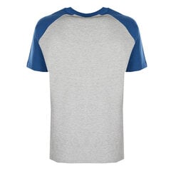 Champion marškinėliai vyrams 212688, pilki - kaina ir informacija | Vyriški marškinėliai | pigu.lt